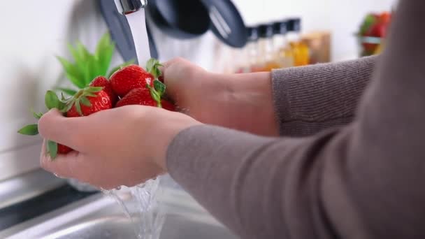 Mulher Mãos Lavar Morangos Cozinha Comer Frutas Frescas Saudáveis Conceito — Vídeo de Stock