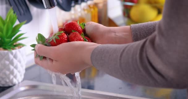Woman Hands Washing Strawberries Kitchen Eating Fresh Healthy Fruits Concept — Stock Video