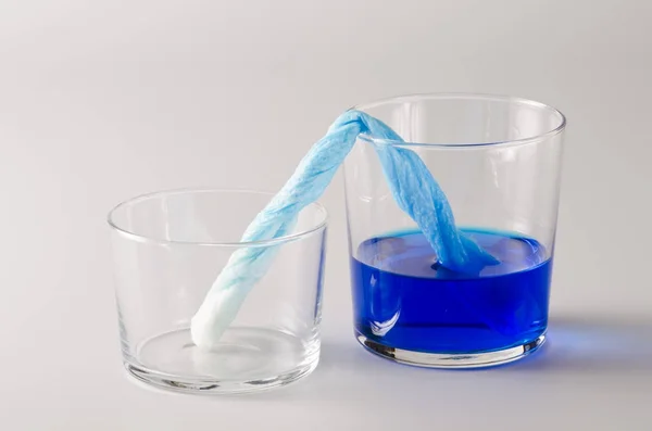 Fizik. Capillarity. Boyalı su kağıt havlu ile yukarı hareket ediyor.