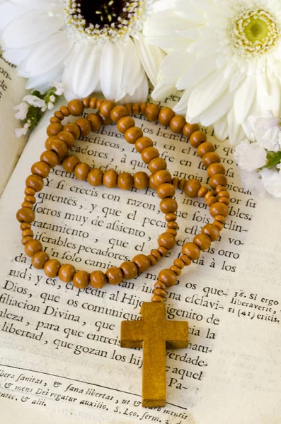 First Holy Communion — Stock Photo, Image