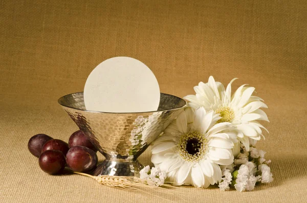 First Holy Communion — Stock Photo, Image