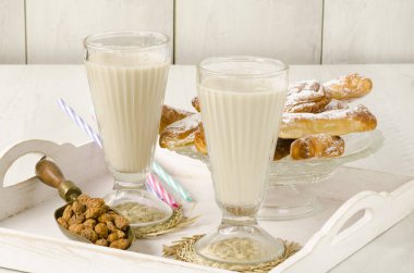 Kaplan fındık süt ve fartons. Horchata de chufa.
