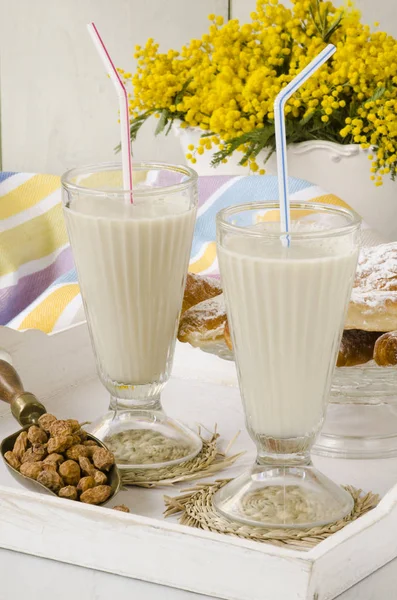 Kaplan fındık süt ve fartons. Horchata de chufa. — Stok fotoğraf