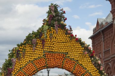 Dekorasyon, çiçek, mevsim Moskova