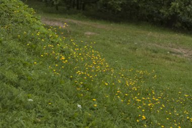 Görünüm, şehir, peyzaj