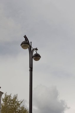 Lamba, ışık, şehir