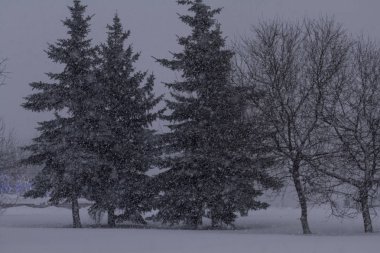 Görünüm, şehir, peyzaj