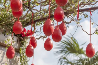 Dekorasyon, çiçek, mevsim Moskova, Bahar