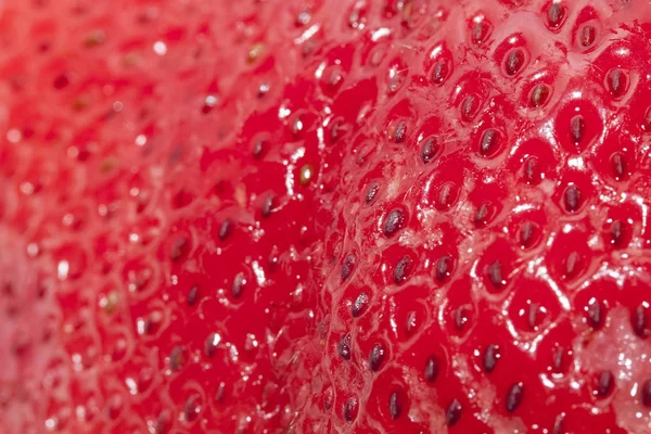 çilek, berry, kırmızı, baston meyve