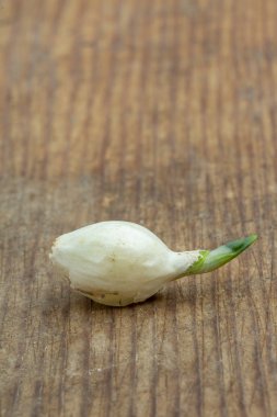 Taze beyaz soğan setleri yakın çekim