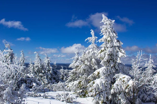 Zimowy krajobraz w Fichtelberg Oberwiesenthal — Zdjęcie stockowe