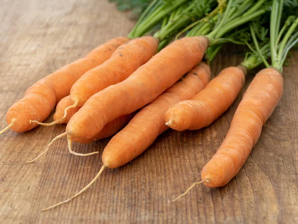 bunch bundle of carrots isolated on a wooden board