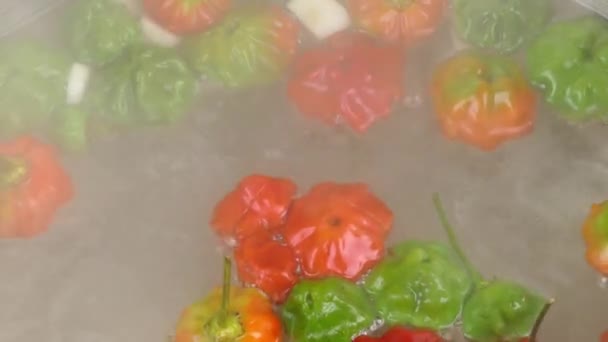 Λευκώ Καυτερές Πιπεριές Τσίλι Κατά Την Προετοιμασία Της Πικάντικης Σάλτσας — Αρχείο Βίντεο