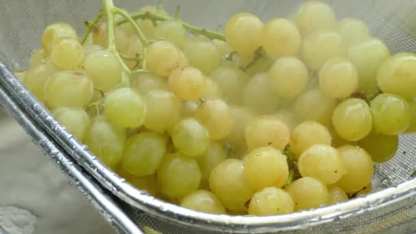 Washing Yellow Table Grapes Strainer Closeup — Stock Video
