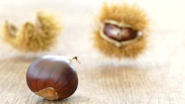 Fresh Sweet Chestnut Fruits Wooden Cutting Board Closeup Rack Focus — Stock Video