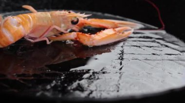 Demir tavada tavada kızartılmış taze karides (Nephrops norvegicus).