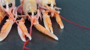 Taze karides (Nephrops norvegicus) koyu bir levha üzerinde döner.