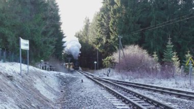 KRETSCHAM, SAXONY, GERMANY - 05 Aralık 2018 Fichtelberg treni Kretscham-Rothensehma tren istasyonuna vardı.