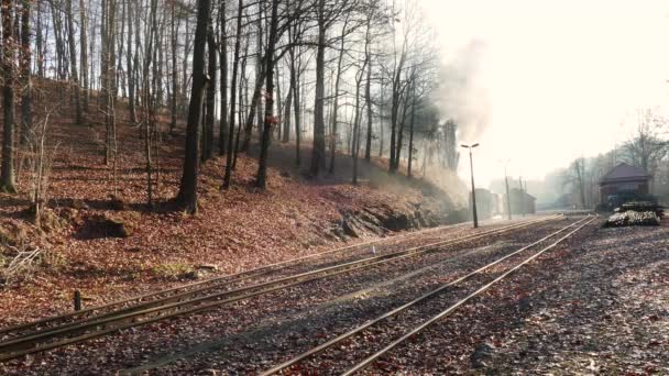 Seifersdorf Saxony Německo Listopad 2018 Weisseritz Údolí Železnice Při Odjezdu — Stock video