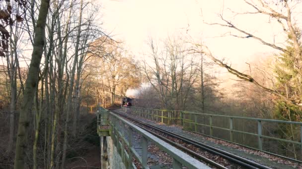 Seifersdorf Saxony Γερμανία Νοέμβριος 2018 Weisseritz Valley Railway Arrives Railway — Αρχείο Βίντεο