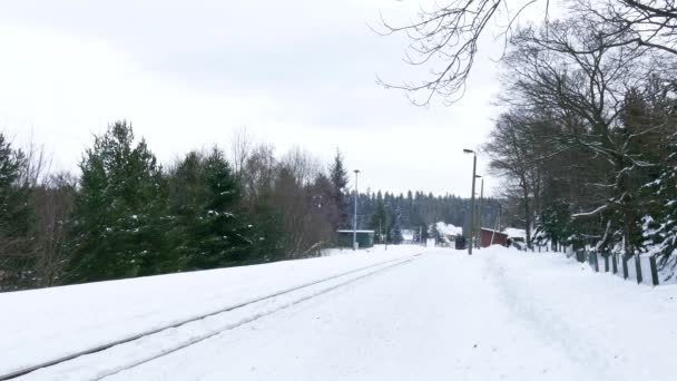 Kretscham Saxony Tyskland December 2018 Järnvägen Fichtelberg Anländer Till Järnvägsstationen — Stockvideo