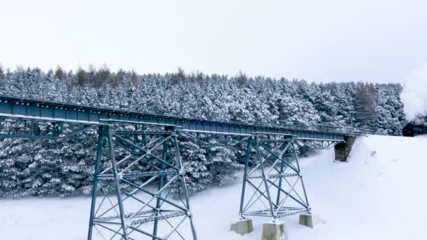 Oberwiesenthal Saxony Tyskland December 2018 Fichtelbergbanan Vid Huettenbachtal Viadukt — Stockvideo