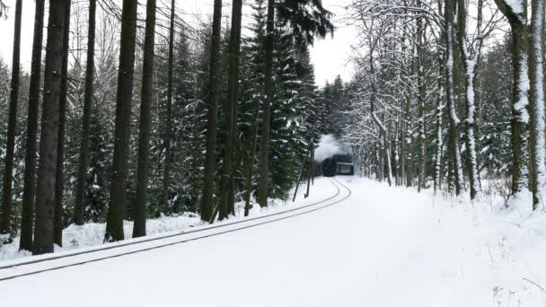 Vierenstrasse Saxony Tyskland December 2018 Järnvägen Fichtelberg Anländer Till Järnvägsstationen — Stockvideo