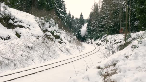 Kretscham Saxonie Allemagne Décembre 2018 Chemin Fer Fichtelberg Arrive Gare — Video
