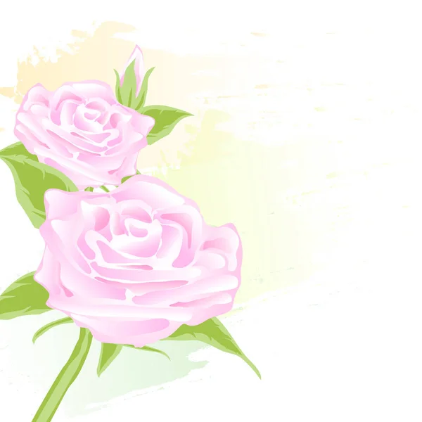 Rosa Rosa Floral abstracta acuarela estilo para fondo — Vector de stock