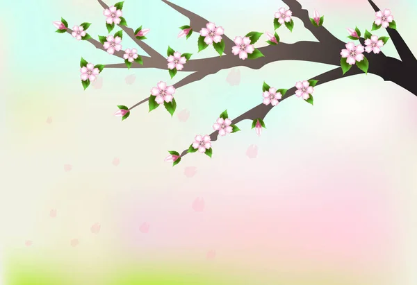 Ramo di fiori di ciliegio e petali galleggianti, natura illustrazione b — Vettoriale Stock