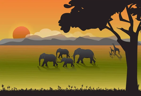 Famille des éléphants et girafes dans la prairie. Contexte naturel — Image vectorielle