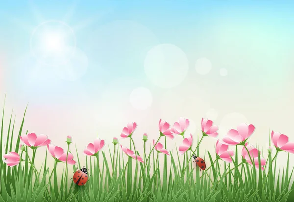 Kosmos Blumen und blauer Himmel Frühling Saison Papier Handwerk Hintergrund — Stockvektor