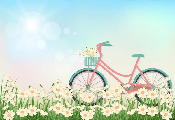 Campo de flores Cosmos e bicicleta primavera arte do papel estação, papel — Vetor de Stock