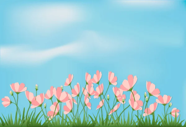 Illustration d'art en papier de fleurs de cosmos et d'herbe avec ciel bleu — Image vectorielle