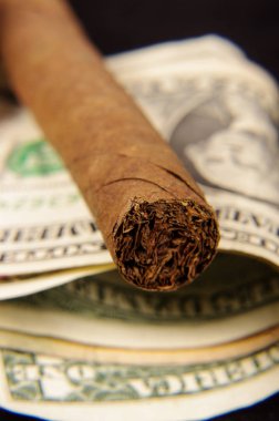 Doları banknot üzerinde pahalı puro
