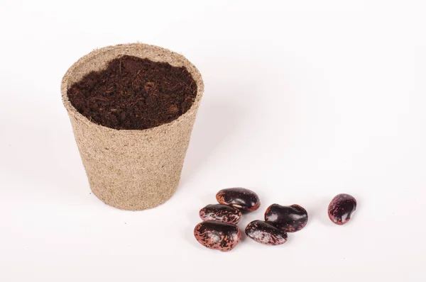 Conceito de Argicultura: sementes, montão de solo e vaso de turfa — Fotografia de Stock
