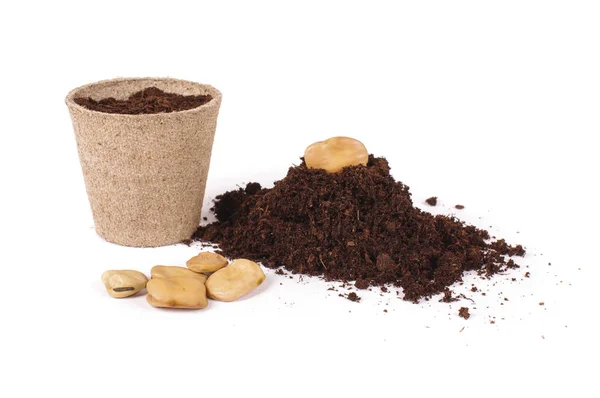 Argiculture concept: seeds, heap of soil and peat pots — Stock Photo, Image