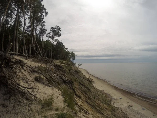 Holenderski kapelusz (Olando kepure) Plaża blisko Karkle, Klaipeda, Lithu — Zdjęcie stockowe