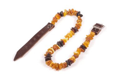 köpek tasması üzerinde beyaz izole Amber