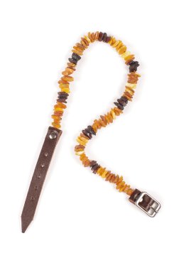 köpek tasması üzerinde beyaz izole Amber