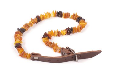 köpek tasması üzerinde beyaz izole Amber