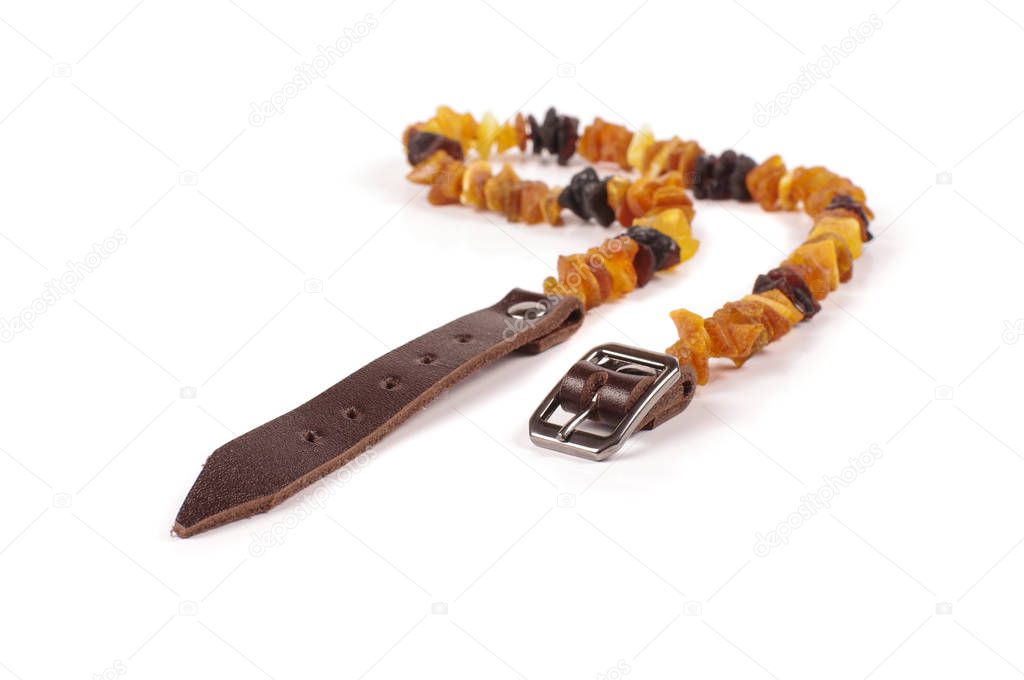 Dog collar of amber isolated on the white