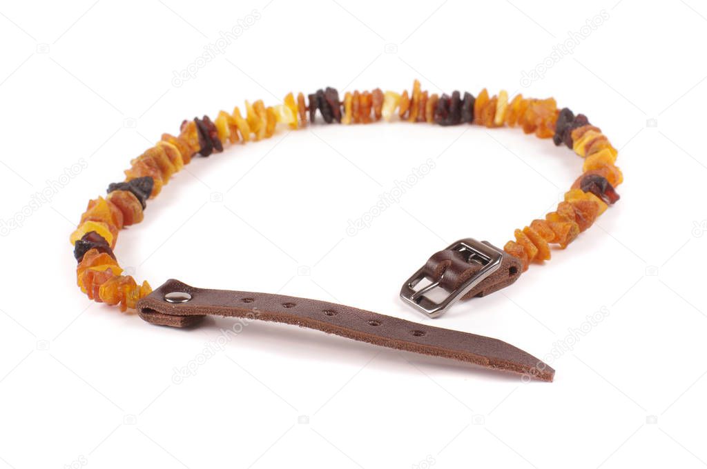 Dog collar of amber isolated on the white