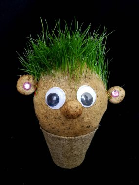 Kıl olarak ot tohumu yetiştirmek için el yapımı oliziukalar. Çocuk eğitimi