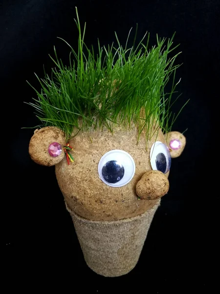 Handgemaakte Pop Oliziuka Voor Het Kweken Van Graszaden Als Haren — Stockfoto