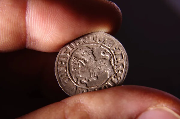수집가 손에는 리투아니아 대공국의 반쪽짜리 동전이 — 스톡 사진