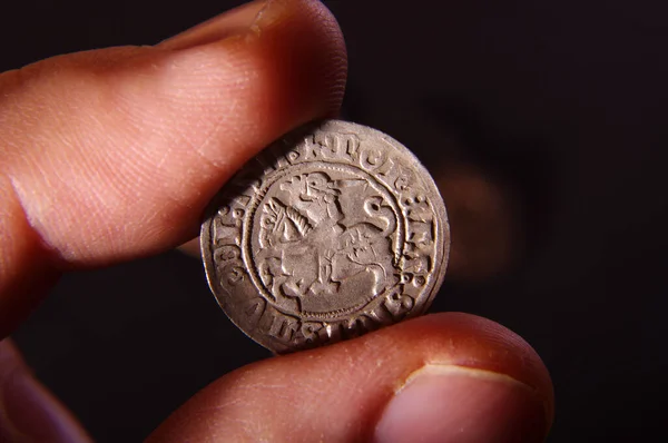 Collector Hand Holds Old Grand Duchy Lithuania Coin Half Grosz — Stock Photo, Image
