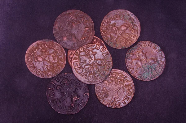 Монеты Великого Княжества Литовского Изолированные Черном Фоне — стоковое фото