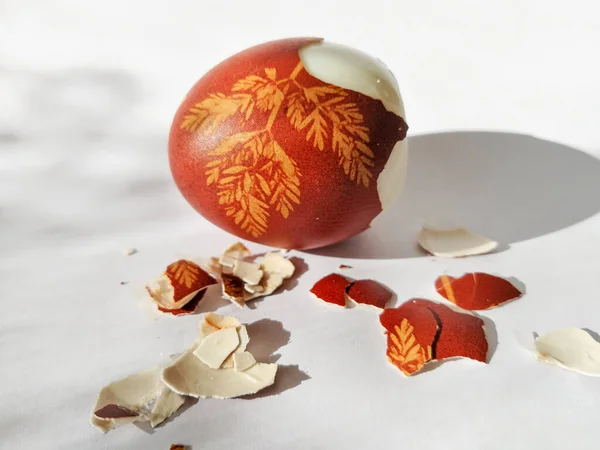 Broken Eggshell Painted Easter Egg Isolated White Background — Stock Photo, Image