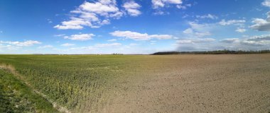 Bahardan yaza değişen mevsimsel değişim için ekili tarım arazisi manzarası